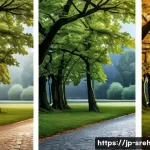 스포츠재활 전문가 연봉 협상 팁 - Here are three image prompts in English, adhering to all the specified guidelines: