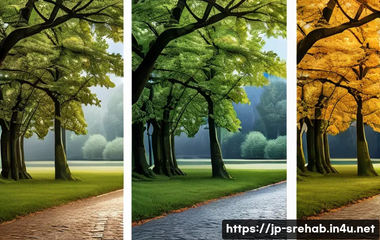 스포츠재활 전문가 연봉 협상 팁 - Here are three image prompts in English, adhering to all the specified guidelines: